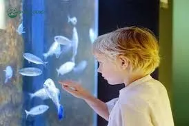 Grand Aquarium